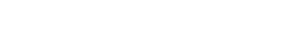 Shopify Partners